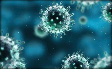 اكتشاف اول حالة اصابة بفيروس كورونا في قطر  شاهد المحتوى الأصلي على شبكة معنا الترفيهية اكتشاف اول حالة اصابة بفيروس كورونا في قطر