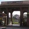 الصيادلة تدشن خدمة جديدة للمرضى للبحث عن الأطباء وتخصصاتهم