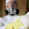اخبار مصر : مستشفى طنطا الجامعي تعلن إصابة حالة بإنفلونزا الطيور