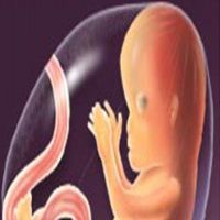 باحثون: سماع الجنين لصوت الأم ودقات قلبها يساعد على نمو مخه