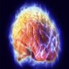 دراسة تحذر: استخدام الإشعاع مرتين فى علاج سرطان المخ له أضرار خطيرة