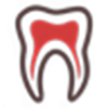الاسنان