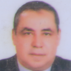 محمد حسام مغربى