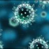 اكتشاف اول حالة اصابة بفيروس كورونا في قطر  شاهد المحتوى الأصلي على شبكة معنا الترفيهية اكتشاف اول حالة اصابة بفيروس كورونا في قطر