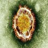 قطر تسجل أول حالة وفاة بفيروس كورونا