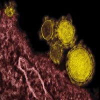  ثاني حالة وفاة بفيروس كورونا في قطر 