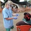 إيبولا أودى بحياة 7000 الآف شخص من أصل 19 ألف حالة 