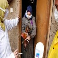 استنفار بأجهزة الدولة بعد تفشي «أنفلونزا الطيور» بالمحافظات  اقرأ المقال الاصلى فى المصريون 