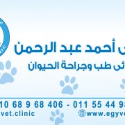 د/ على عبدالرحمن