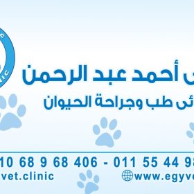 د/ على عبدالرحمن
