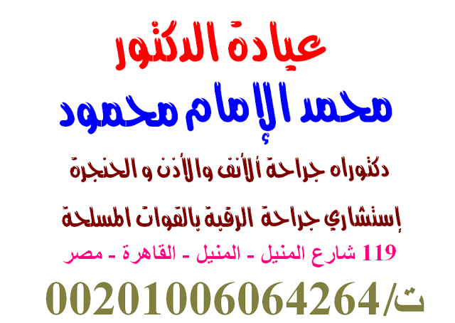 محمد الامام محمود