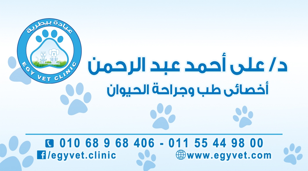 د/ على عبدالرحمن