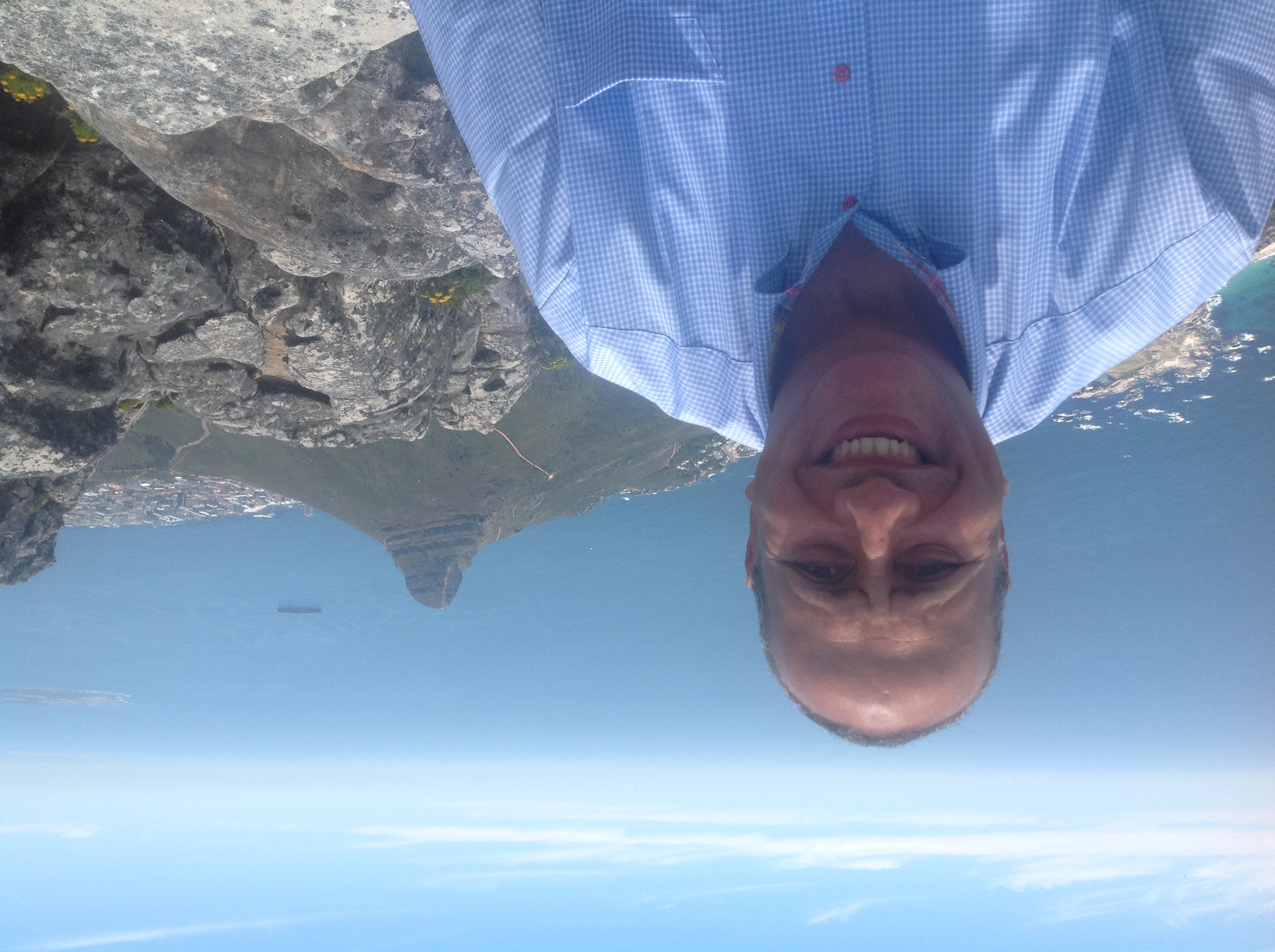 الاستاذ الدكتور عادل حسنين 