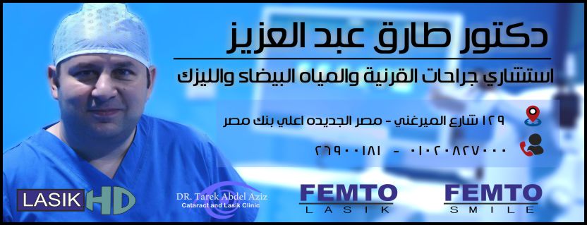 طارق عبد العزيز