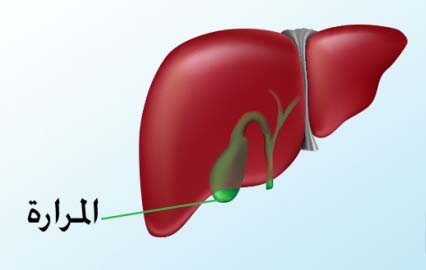  المراره 