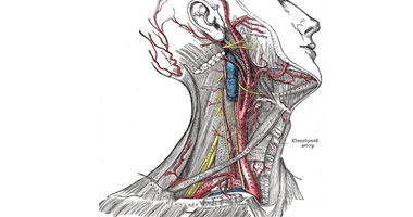 طبيب.. الرجال أكثر عرضة للإصابة بمرض تصلب الشرايين  