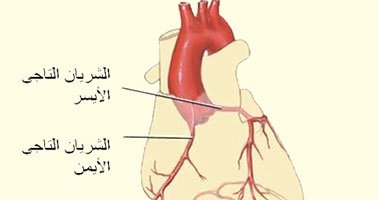 ارتفاع ضغط الدم والتدخين والسمنة أهم عوامل الإصابة بأمراض الشرايين 