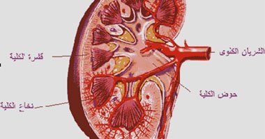 ورشة تعاون باليوم العالمى الثامن للأمراض النادرة للوصول إلى علاج