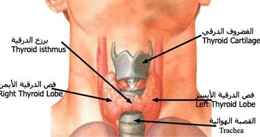 للرجال والنساء: تغيرات شكل الجسم دليل على ارتباك الهرمونات 