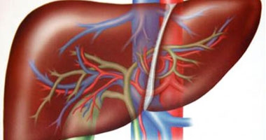 انعقاد مؤتمر الجمعية المصرية لأمراض الكبد والجهاز الهضمى