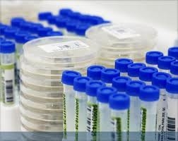 الطب الوقائي بالسويس تعلن سلبية نتائج طفلتين اشتبه في إصابتهما بأنفلونزا الطيور