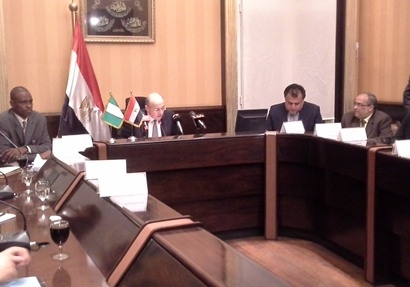  تعاون بين وزارة الصحة ونيجيريا لإدارة مستشفى بأطباء مصريين