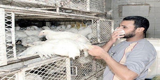 وزارة الصحة تعلن وفاة حالتين بأنفلونزا الطيوروشفاء 3 أطفال