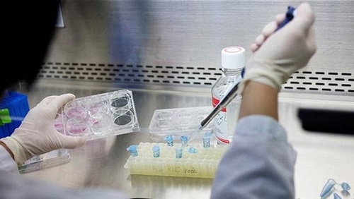 اختبار علاج بالخلايا الجذعية لعلاج أضرار هشاشة العظام